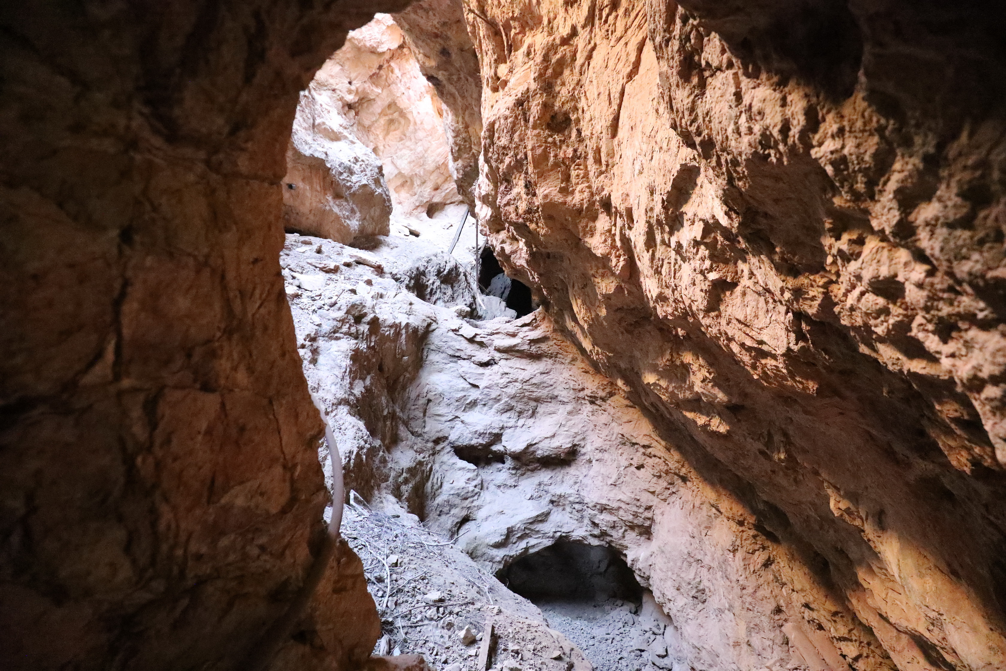 2019 09 01 15 40 48 Canon EOS 5D Mark IV 0005